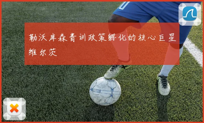 勒沃库森青训政策孵化的核心巨星维尔茨