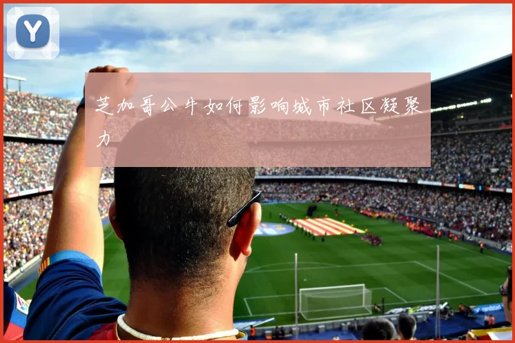 芝加哥公牛如何影响城市社区凝聚力